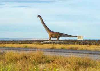 Argentina may have been home to the largest land animal on earth