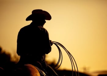 I may not be a pro, but this ain’t my first rodeo